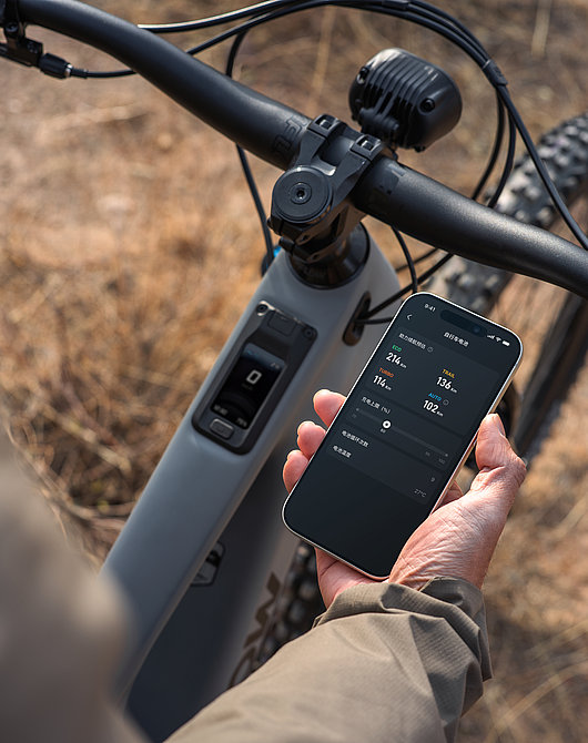 AMFLOW Carbon PR
